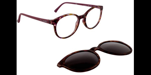 Juno Flower / Mallow