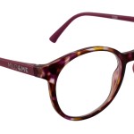 Juno Flower / Mallow