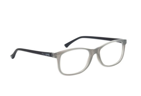 Alex Transparent Light grey/Grey