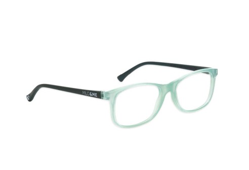 Alex Transparent light grey green/Grey green